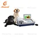Veterinary Biochemistry Analyzer